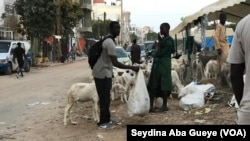 Moussa Tall tient son mouton de Tabaski, Sénégal, le 10 août 2019. (VOA/Seydina Aba Gueye)