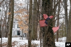 FILE - Small American flags have been placed in the trees in front of the Warmbier family home in Wyoming, Ohio, Jan. 22, 2016.