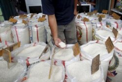 Seorang pelanggan mengecek kualitas beras saat berbelanja di pasar beras Cipinang di Jakarta, 22 Januari 2016. (Foto: Reuters/Garry Lotulung)