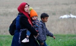 Migranti prelaze granicu iz Mađarske u Austriju u Nickelsdorfu, 11. septembra 2015.