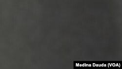 Dan Majalisa Muhammad Usman Bago