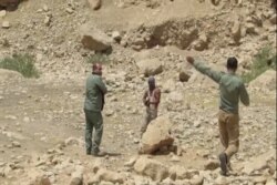 محیط بانان ایرانی