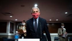 美国国立过敏与传染病研究院主任弗契(Anthony Fauci)2020年6月30日到国会作证（路透社）