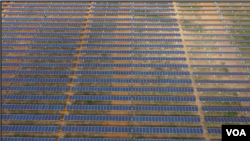 About 7,000 solar panels are seen at this power plant 50 kilometers northwest of Harare, Zimbabwe. Centralgrid, which owns the plant, says will generate 2.5 megawatts starting next month to be fed into Zimbabwe’s power grid (C. Mavhunga/VOA)
