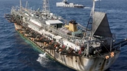 In this July 2021 photo provided by Sea Shepherd, the Ocean Warrior, background, circles a Chinese-flagged vessel on the high seas off the west coast of South America.
