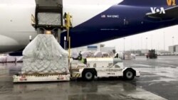 ვირუსული პანდემია და შეერთებული შტატების საგარეო დახმარება