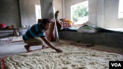 បុរសម្នាក់សំងួតអង្ករបន្ទាប់ពីចូលទឹក ដោយសារទឹកជំនន់នៅវត្តចំការខ្សាច់ដោយសារបាក់ស្រុតទំនប់ព្រែកត្នោត នៅសង្កាត់ស្ពានថ្មី ខណ្ឌដង្កោ រាជធានីភ្នំពេញ នៅថ្ងៃអង្គារ ទី១៨ ខែតុលា ឆ្នាំ២០១៦។(ឡេង ឡែន/VOA)។