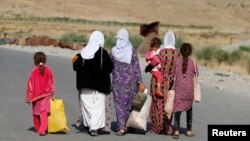 تندروان داعش هزاران زن و دختر ایزدی را اسیر گرفتند