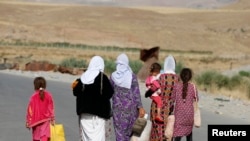 عراقي چارواکي وايي داعشیانو زرګونه ایزدۍ میرمنې تښتولي او جنسي تیري یې پرې کړي دي