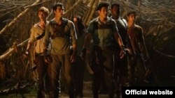The Maze Runner