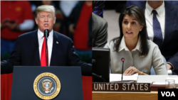 Trump Niki Haley