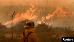 د کلېفورنیا په ځینو سیمو کې اور لگېدنې په ١٢ساعتونو کې ٦ زره هکټاره ځمکه سوځولې