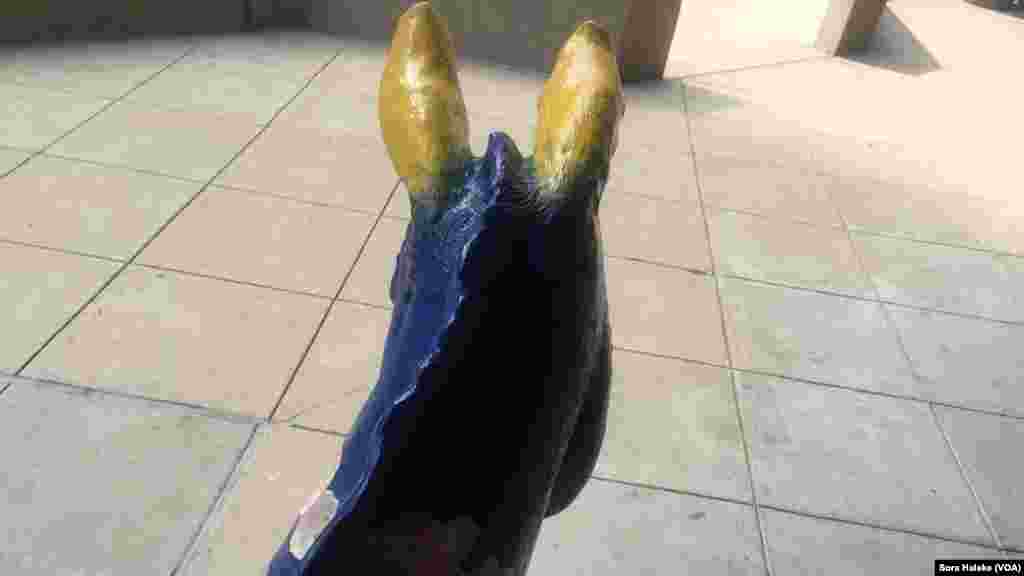 በዴሞክራቲክ ፓርቲ የመወዳደርያ ምልክቱን &quot;አህያ&quot; በትእይንት መልክ እያቀረበ ነው