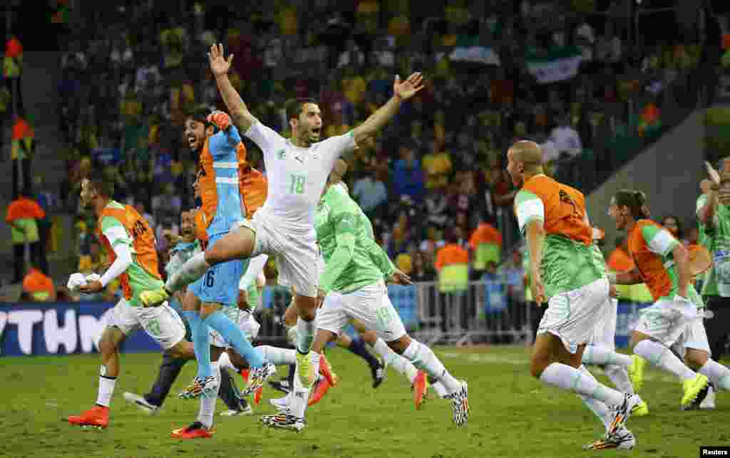 Algeria's Abdelmoumene Djabou celebrates with his teammates after tying Russia at the Baixada arena in Curitiba, June 26, 2014.