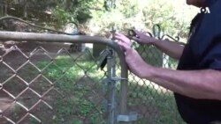 Профил на Џеј Ди Венс, републикански кандидат за потпретседател на САД