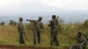 DRC Government Says FDLR Rebels Disarming 