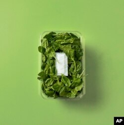 Science v Food Waste