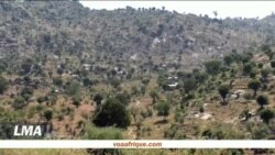 Boko Haram, violence… et mariages forcés des filles