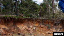 Wani wajen hakar zinare