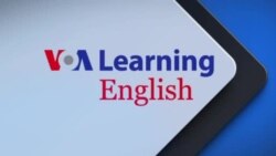 Afghan Woman Earns Top Marks on National Exam