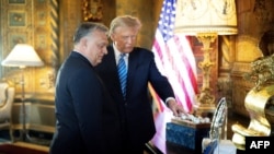 ვიქტორ ორბანისა და დონალდ ტრამპის შეხვედრის ამსახველი ფოტო, 2024 წლის 8 მარტს, უნგრეთის პრემიერ-მინისტრის პრესსამსახურმა გაავრცელა.