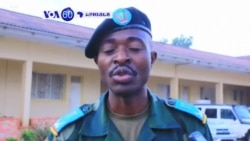 VOA60 4 novembre 2021