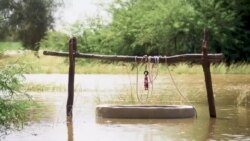 Crue du fleuve Sénégal : l'agriculture et des villages ravagés
