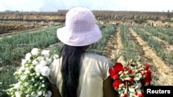 Peruvian Gisela Huamani, 11, carries flowers during a harvest at a field in a shantytown in Lima, May 26, 2005.