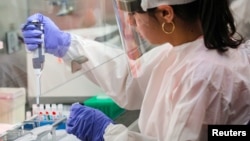 រូបឯកសារ៖ អ្នកវិទ្យាសាស្រ្តពិនិត្យមើលសំណាកជំងឺកូវីដ១៩ នៅមន្ទីរសុខាភិបាលមួយ នៅក្រុងញូវយ៉ក កាលពីថ្ងៃទី២៣ ខែមេសា ឆ្នាំ២០២០។ 