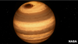 Astronomers believe the dwarf star W1906+40 has a giant storm similar to the one on Jupiter. It is depicted in this illustration from NASA.