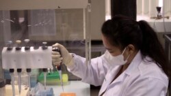 រូបឯកសារ៖ អ្នក​ជំនាញ​នៅ​មន្ទីរពេទ្យ​ម្នាក់​បូម​យក​វ៉ាក់សាំង​បង្ការ​ជំងឺ​កូវីដ១៩​ដែល​កំពុង​ស្ថិត​ក្នុង​ដំណាក់កាល​ធ្វើ​តេស្ត​ នៅ​មជ្ឈមណ្ឌល​ស្រាវជ្រាវ Chula របស់​សាកលវិទ្យាល័យ Chulalongkorn ទីក្រុង​បាងកក ប្រទេស​ថៃ ថ្ងៃទី២៥ ខែឧសភា ឆ្នាំ២០២០។