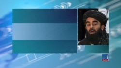 ذبیح الله مجاهد، سخنگوی گروه طالبان