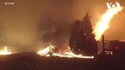 კალიფორნიაში 600-მდე ხანძრის კერა დათვალეს