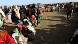 የትግራይ ተወላጆች ላይ "እየተፈፀመ ነው" ስለተባለው እስርና እንግልት