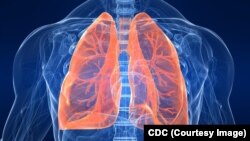 براساس پیشرفت های تازه، درمان بیماری های شش ساده می شود.