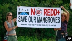 Two protesters from environmental groups protest holding up a banner against the REDD, the UN program to reduce deforestation and forest degradation in developing countries, outside the U.N. Climate Change conference in Cancun, Mexico, file photo. 