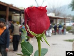 Ko'rmagan, gaplashmagan odamingizga aslo pul yubormang, deydi tergovchilar