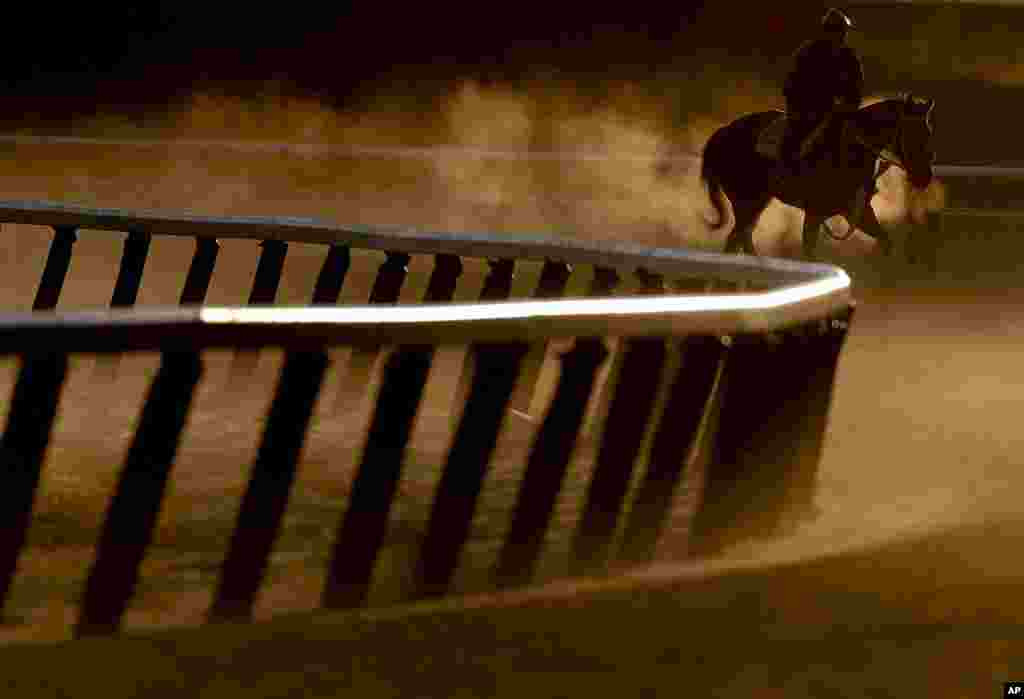 An exercise rider guides a race horse around the track during a workout, in Elmont, New York. The 149th running of the Belmont Stakes horse race is on Saturday.