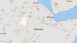 በቤኒሻንጉል ጉሙዝ እጃቸውን እንዲሰጠ የተጠየቁ ኃይሎች ጉዳይ