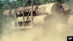 FILE - In this July 2002 file photo, dust flows from under the truck loaded with logs as it makes its way on a rural road in Preah Vihear province, north of Phnom Penh, Cambodia. An environmental watchdog has accused Vietnamese government and military officials of taking payoffs to ignore vast smuggling of lucrative lumber from neighboring Cambodia. 