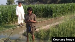  A Pakistani farmer checks his cell phone for weather updates and estimates of how much irrigation water he will need over the next few days. (Photo: Faisal Hossain and PCRWR)