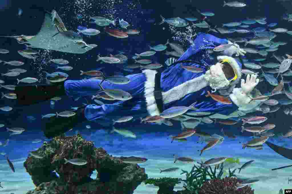 A diver dressed in a blue Santa Claus costume waves as she swims with fish at Sunshine Aquarium during their annual promotional preparations for an upcoming Christmas special event in Tokyo, Japan.