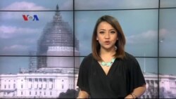 Ribuan Anak Singa Laut Kelaparan Terdampar di Pantai Barat AS