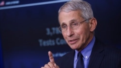 Anthony Fauci