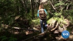 Fact or Fiction, the Treasure is as Important as the Thrill of the Hunt