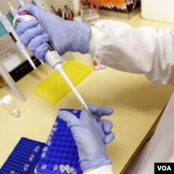 UNAIDS: Jika penderita HIV/AIDS diobati sedini mungkin, tingkat penularan bisa turun 96 persen.