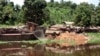 Congo to Ban Log Exports to Reduce Pressure on its Forests