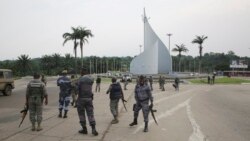 Scandale dans la filière bois au Gabon