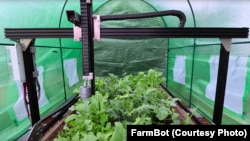 FarmBot can water plants.