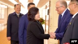 朝鲜官媒朝中社2024年10月29日发布照片: 朝鲜外相崔善姬(中)在前往俄罗斯访问前与俄罗斯驻朝鲜大使亚历山大·马采戈拉会面。